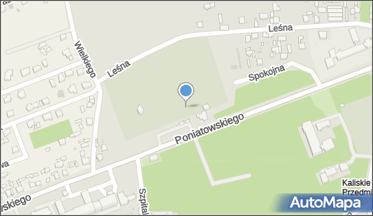 Rzymsko-katolicki, Księcia Józefa Poniatowskiego, Koło 62-600 - Cmentarz