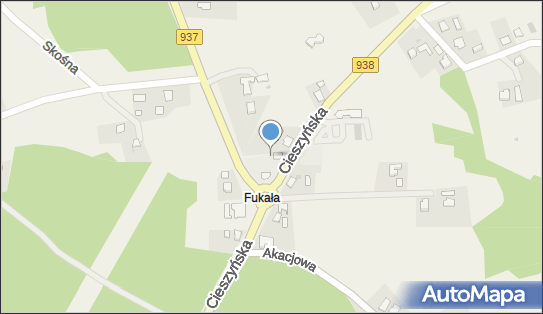 Crab, Cieszyńska 19, Hażlach, godziny otwarcia