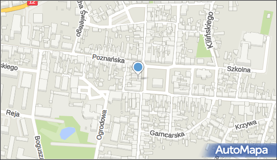 Apteka Dbam o Zdrowie, Rynek 21, Pleszew, godziny otwarcia, numer telefonu