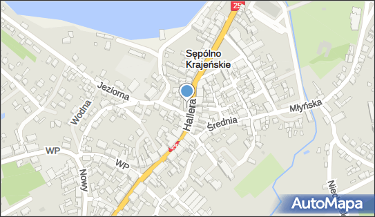 Apteka Dbam o Zdrowie, Hallera 8, Sępólno Krajeńskie, godziny otwarcia, numer telefonu