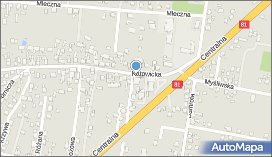 DOZ Apteka dbam o zdrowie LIBRA, Katowicka 11 A, Orzesze, godziny otwarcia, numer telefonu