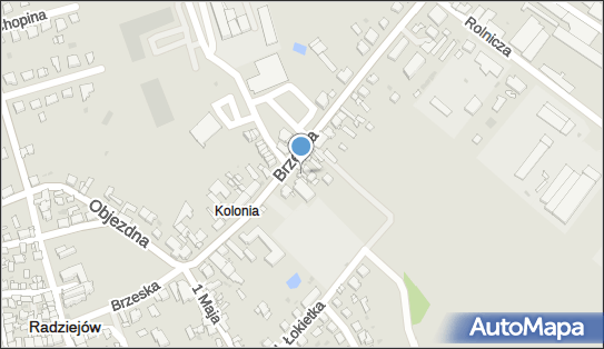 DOZ Apteka dbam o zdrowie Przy Dworcu, Brzeska 28, Radziejów, godziny otwarcia, numer telefonu