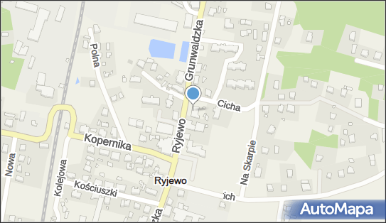 DOZ Apteka dbam o zdrowie Ryjewo, Grunwaldzka 76, Ryjewo, godziny otwarcia, numer telefonu