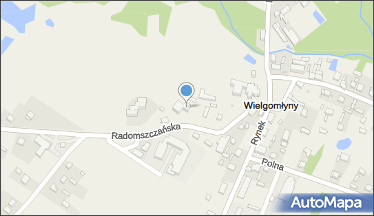 DOZ Apteka dbam o zdrowie, Radomszczańska 7, Wielgomłyny, godziny otwarcia, numer telefonu