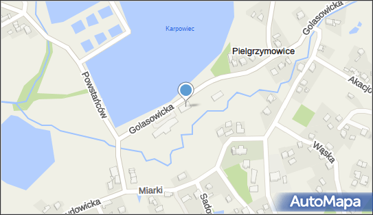 DOZ Apteka Dbam o Zdrowie, Golasowicka 4, Pielgrzymowice, godziny otwarcia, numer telefonu