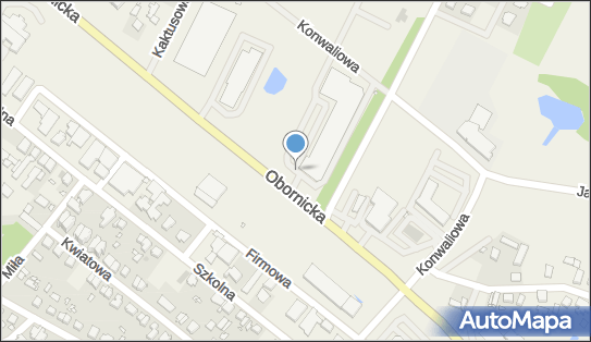 Dealz Suchy Las Silva Park Handlowy, Obornicka 140, Suchy Las, godziny otwarcia