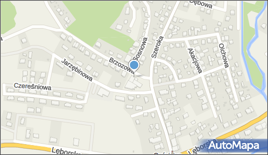 Delikatesy Centrum - Sklep, Brzozowa 1, Gościcino 84-241, godziny otwarcia