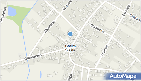Delikatesy Centrum Sklep Ul śląska 98 Chełm śląski 41 403