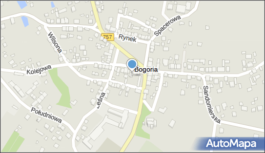 Delikatesy Centrum - Sklep, Rynek 41, Bogoria 28-210, godziny otwarcia