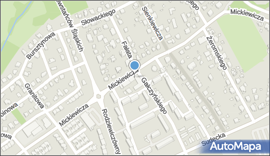 Delikatesy Centrum - Sklep, Mickiewicza 41A, Nysa 48-300, godziny otwarcia