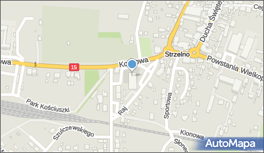 Delikatesy Centrum - Sklep, Raj 2, Strzelno 88-320, godziny otwarcia