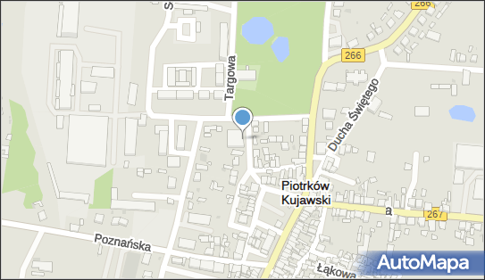 Delikatesy Centrum - Sklep, Krótka 11, Piotrków Kujawski 88-230, godziny otwarcia