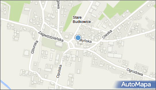 Delikatesy Centrum - Sklep, Ogrodowa 1, Stare Budkowice 46-030, godziny otwarcia