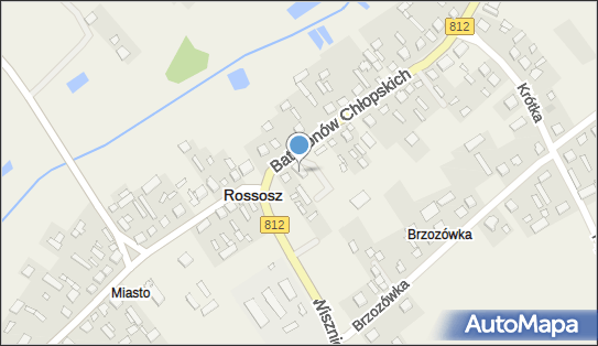 Delikatesy Centrum - Sklep, Batalionów Chłopskich 87, Rossosz 21-533, godziny otwarcia