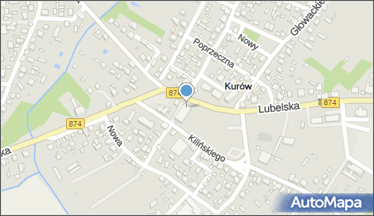 Delikatesy Centrum - Sklep, Lubelska 4, Kurów 24-170, godziny otwarcia