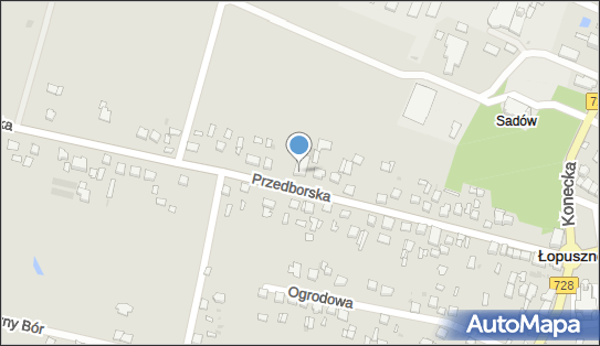 Delikatesy Centrum - Sklep, Przedborska 34 b, Łopuszno 26-070, godziny otwarcia