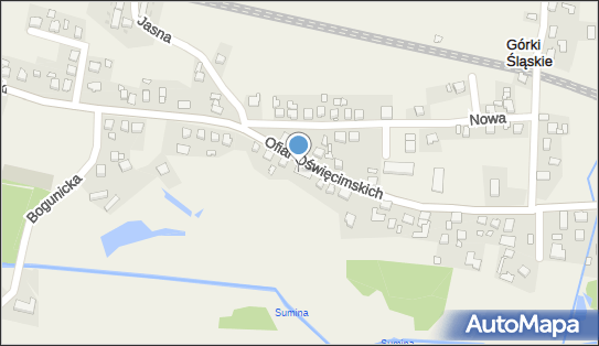 Delikatesy Centrum - Sklep, Ofiar Oświęcimskich 28, Górki Śląskie 47-470, godziny otwarcia