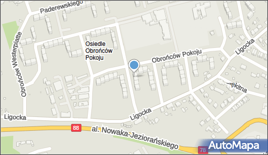 9691459064, Specjalistyczna Praktyka Lekarsko- Dentystyczna Agata Trzcionka 