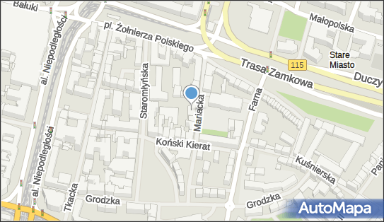 Centrum Opieki Stomatologicznej Edyta Wejt-Tawakol, ul. Mariacka 6 70-546 - Dentysta, NIP: 8511143779