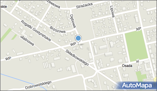 dentysta Dubielak, Wojska Polskiego 9c, Gąbin 09-530 - Dentysta, numer telefonu