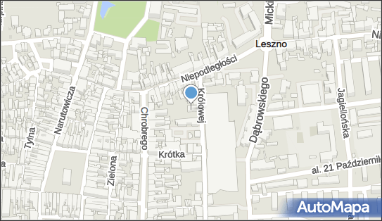 Dentysta, Królowej Jadwigi 3, Leszno 64-100 - Dentysta