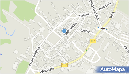 Dentysta, Adama Mickiewicza 16, Pniewy - Dentysta