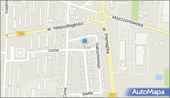 Gabinet Stomatologiczny, ul. Lucjana Szenwalda 13, Skierniewice 96-100 - Dentysta, numer telefonu, NIP: 8361170319