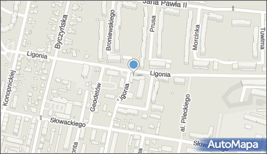 7511060389, Gabinet Stomatologiczny - Wioleta Arczyńska 