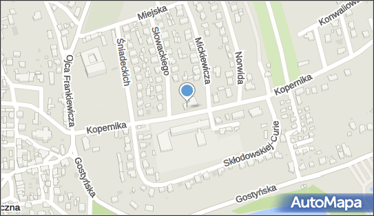 Indywidualna Praktyka Stomatologiczna Lek Dentysta, Osieczna 64-113 - Dentysta, numer telefonu, NIP: 6971454818