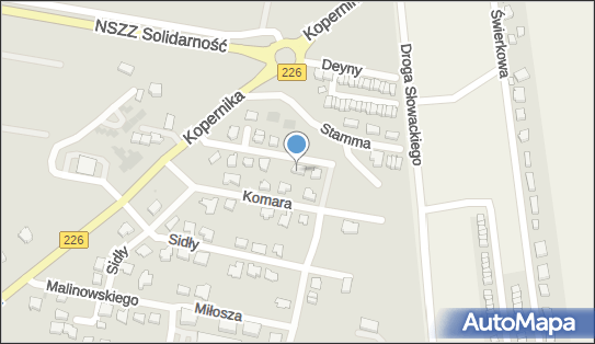 Indywidualna Praktyka Stomatologiczna Lek Den, Pruszcz Gdański 83-000 - Dentysta, numer telefonu, NIP: 6040083107