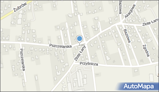 Indywidualna Praktyka Stomatologiczna Lek Stom, ul. Pszczelarska 58 43-215 - Dentysta, numer telefonu, NIP: 6381216549