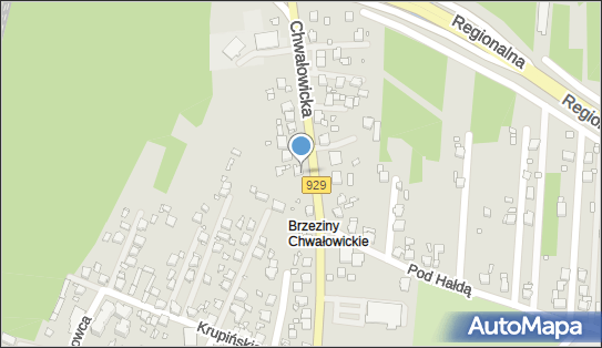 Indywidualna Praktyka Stomatologiczna, ul. Chwałowicka 106, Rybnik 44-206 - Dentysta, NIP: 6421036010