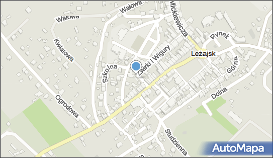 lek.stom. Damian Pustelniak, Plac Jaszowskiego Rudolfa 2, Leżajsk 37-300 - Dentysta, numer telefonu