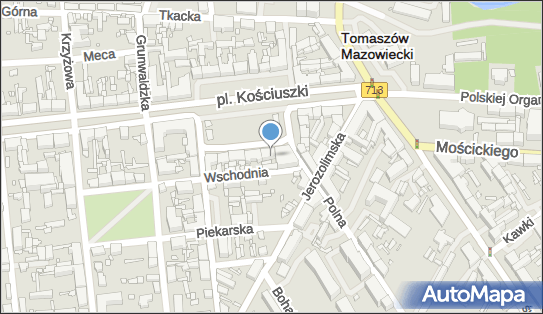 Praktyka Lekarsko Dentystyczna, ul. Plac Tadeusza Kościuszki 8 97-200 - Dentysta, NIP: 7732446319
