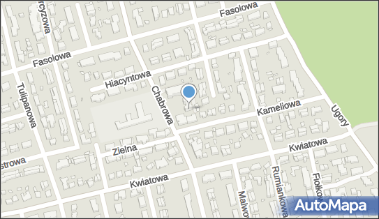 871725734, Wojciech Piasecki Prywatny Gabinet Stomatologiczny 