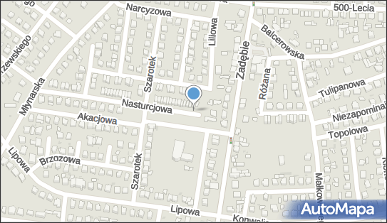 Prywatny Gabinet Stomatologiczny, Nasturcjowa 2, Skierniewice 96-100 - Dentysta, numer telefonu, NIP: 8361293097