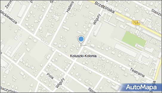 Prywatny Gabinet Stomatologiczny, ul. Wigury 15, Koluszki 95-040 - Dentysta, NIP: 7731675710