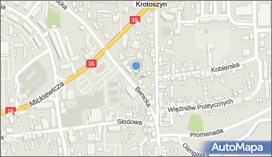 Wioletta Mańkowska Stomatologia-Protetyka Mańkowscy.Gabinet Stomatologiczny.Laboratorium Protetyczne 63-700 - Dentysta, NIP: 6211218199
