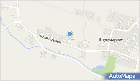 DHL POP Dino, Brzyskorzystew 69A, Żnin 88-400, godziny otwarcia