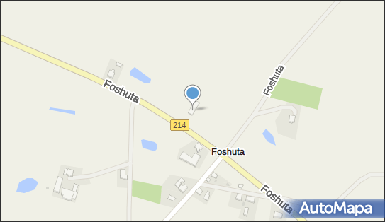 DHL POP Lewiatan 11569, Foshuta 9a, Foshuta 83-430, godziny otwarcia