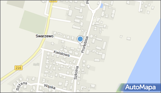 DHL POP Lewiatan, KS. PRONOBISA 26, Swarzewo 84-100, godziny otwarcia