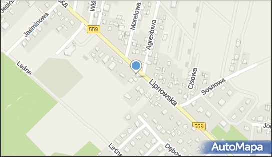 DHL POP Lewiatan, Lipnowska 79, Maszewo Duże 09-400, godziny otwarcia