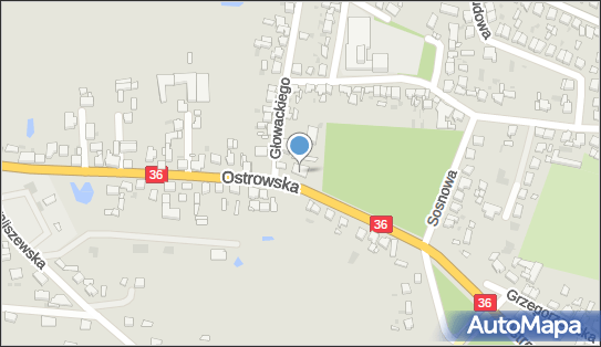 DHL POP Lewiatan, Ostrowska 155, Krotoszyn 63-700, godziny otwarcia