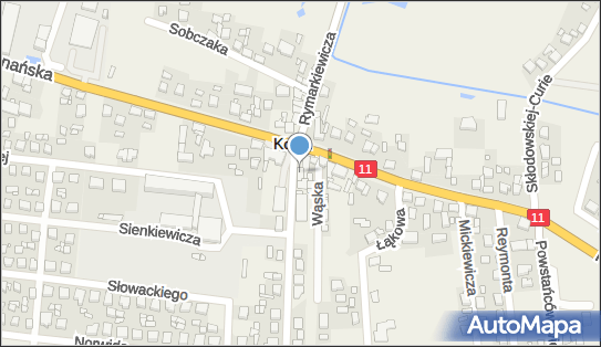 DHL POP Lewiatan, DWROCOWA 1, Kotlin 63-220, godziny otwarcia