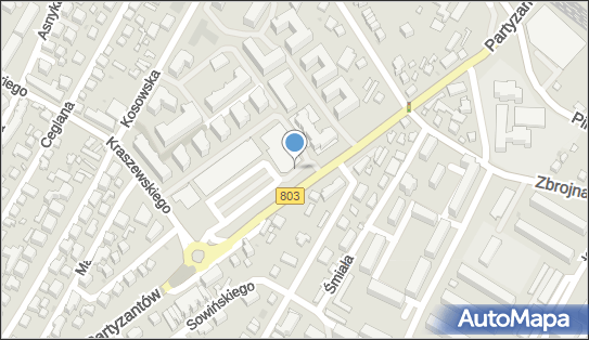 DHL POP Lidl, Partyzantów 16a, Siedlce 08-110, godziny otwarcia
