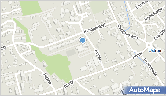 DHL POP Lidl, Kojzara 3, Ustroń 43-450, godziny otwarcia