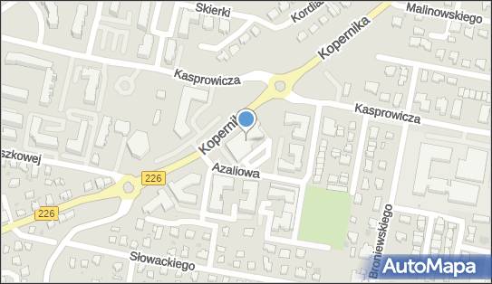 DHL POP Lidl, Azaliowa 2, Pruszcz Gdański 83-000, godziny otwarcia