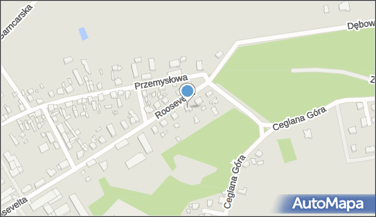 DHL POP Lidl, Roosevelta 5, Skwierzyna 66-440, godziny otwarcia