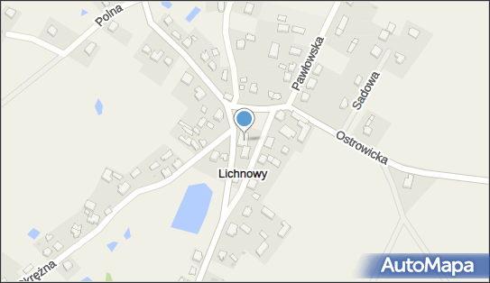 DHL POP Po sąsiedzku ABC, Główna 1, Lichnowy 89-620, godziny otwarcia
