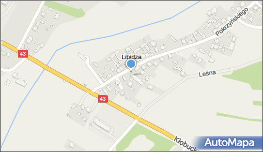 DHL POP PPHU Junek - P. Molis, Pokrzyńskiego 14, Libidza 42-125, godziny otwarcia
